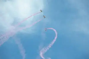 13567155_1402869636393671_1817719727299143471_n